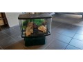 bel-aquarium-avec-tous-ses-accessoires-deco-nourriture-etc-small-0