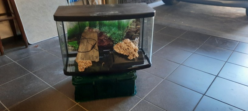 bel-aquarium-avec-tous-ses-accessoires-deco-nourriture-etc-big-0