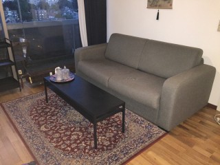 Canapé-lit en tissu gris